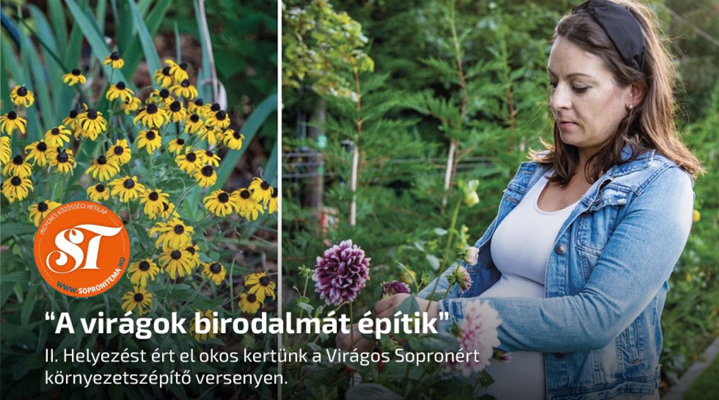 II. helyezést ért el okos kertünk a Virágos Sopronért környezetszépítő versenyen.